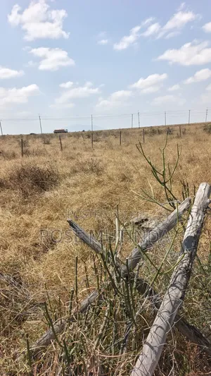 50by 100 at Malaa