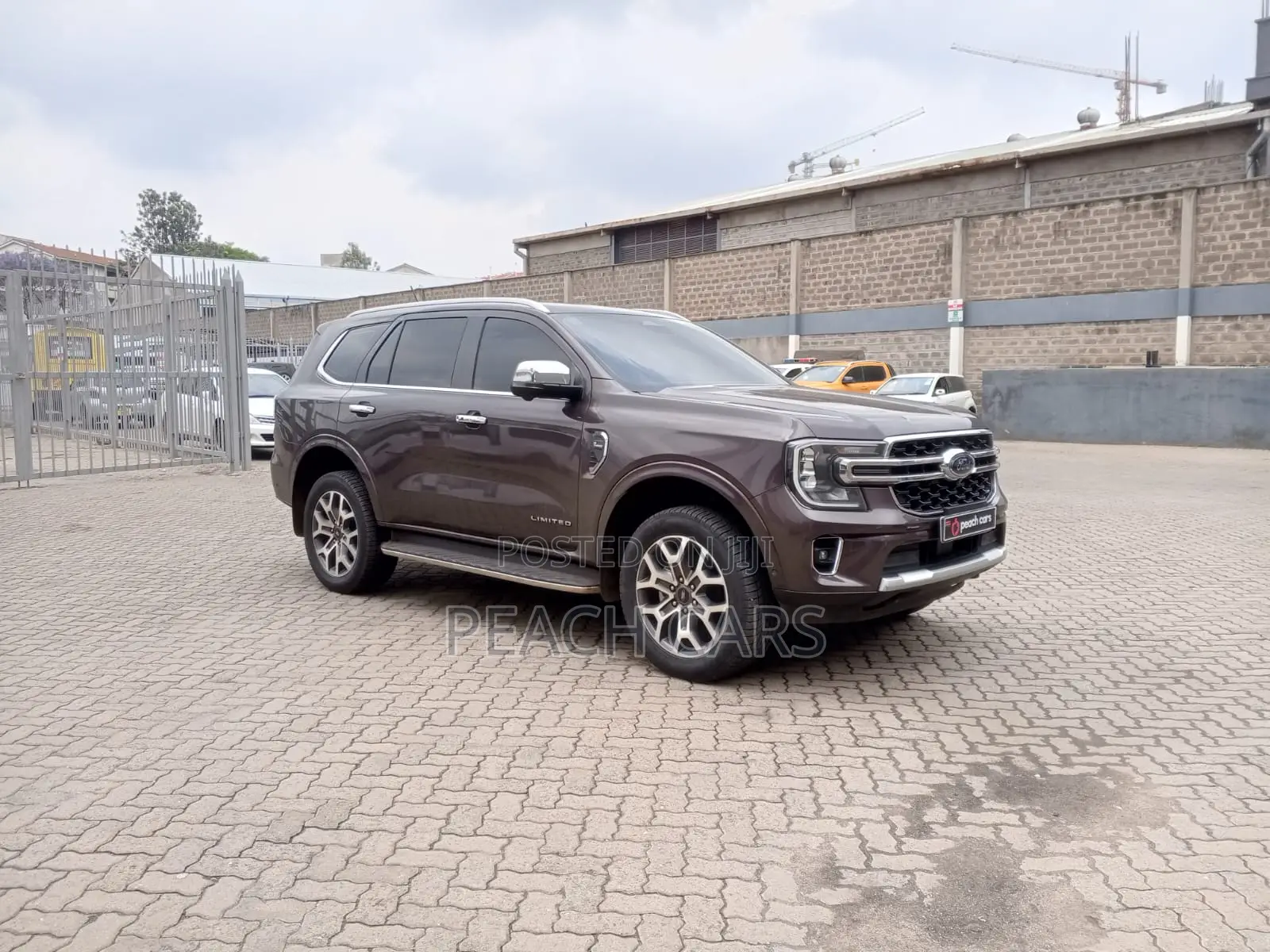 Ford Everest 2023 Brown