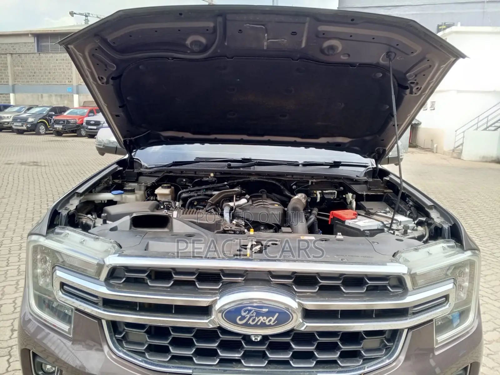 Ford Everest 2023 Brown