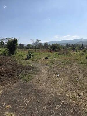 50 by 100 Commercial Plots Kiserian for Sale Touching Tarmac
