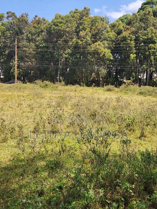 Prime 1-Acre Karen - thumbnail 2