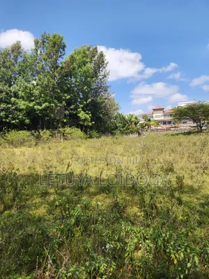 Prime 1-Acre Karen