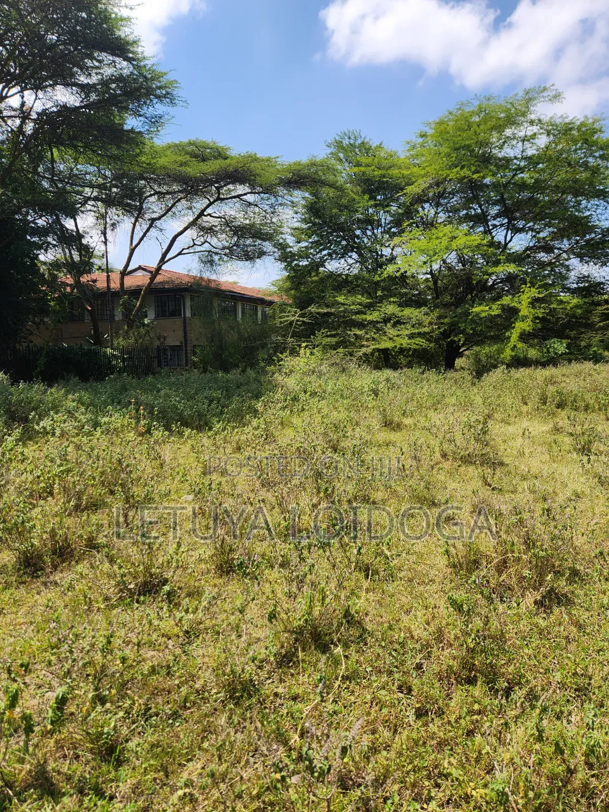 Prime 1-Acre Karen