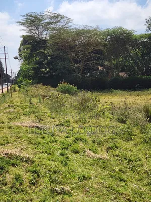 Prime 1-Acre Karen