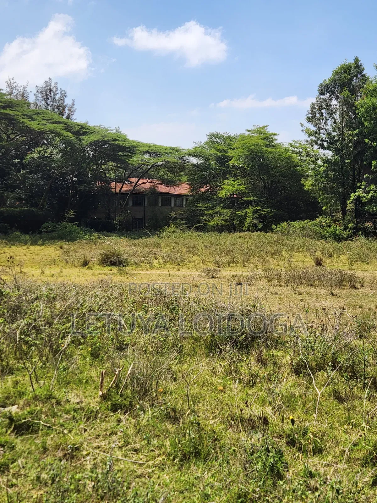 Prime 1-Acre Karen