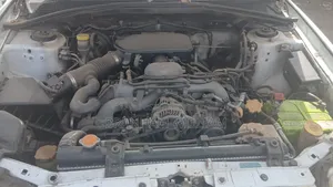 Subaru Forester 2005 White