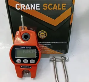 Crane Scale