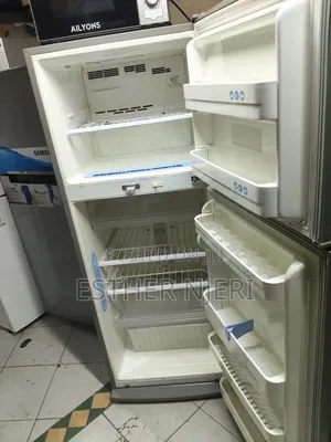 Pure Silver LG Double Doors Fridge