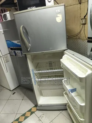 Pure Silver LG Double Doors Fridge