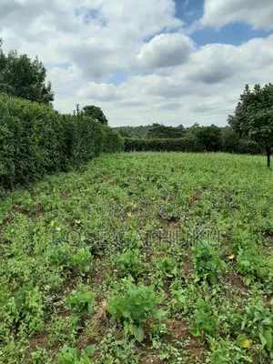 Oloolua Land Ngong