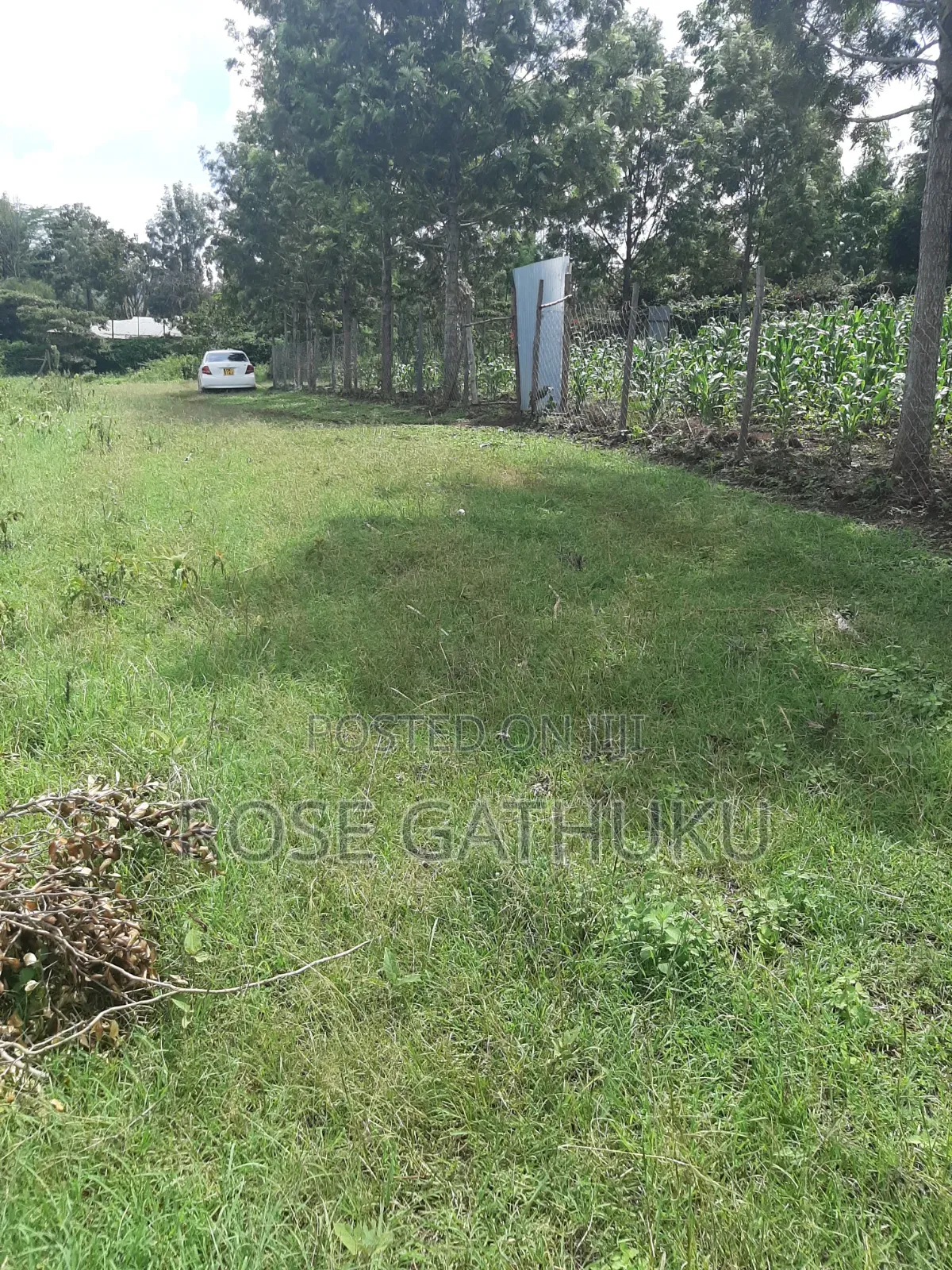 Oloolua Land Ngong