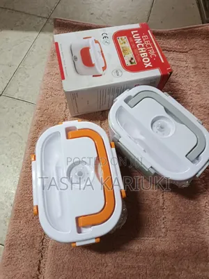 Partitioned Electric Lunch Box _ Big Size