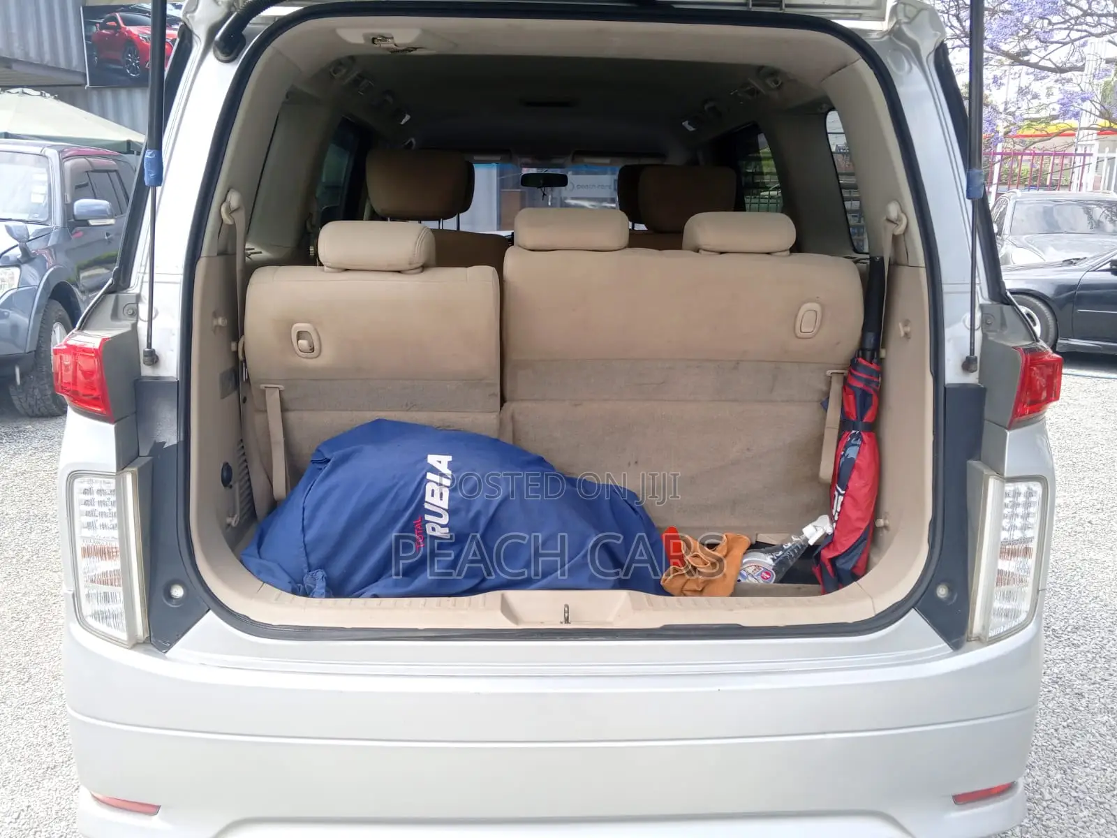 Nissan Elgrand 2011 Silver