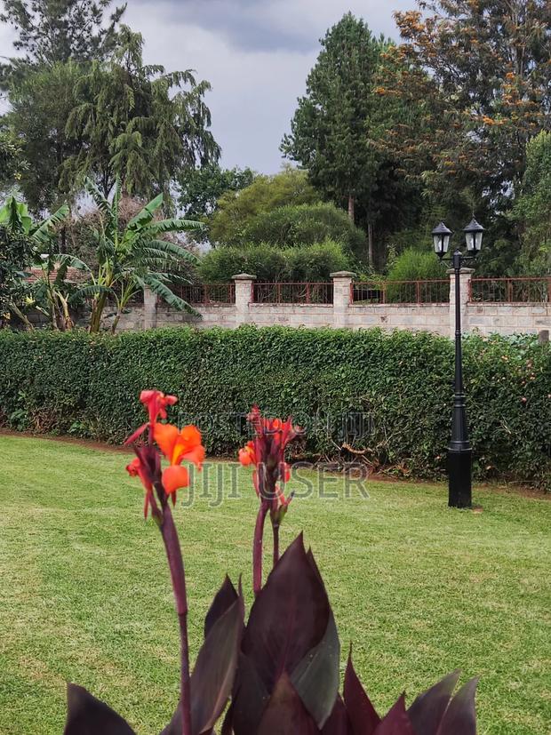 Furnished 1bdrm Bedsitter in Elgon View Estate, Racecourse for rent - thumbnail 9