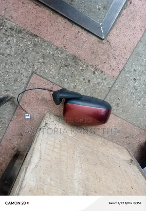 Nissan Days 2013 Side Mirrors Available
