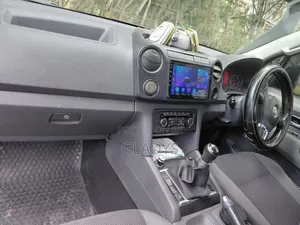 Volkswagen Amarok 2012 Gray