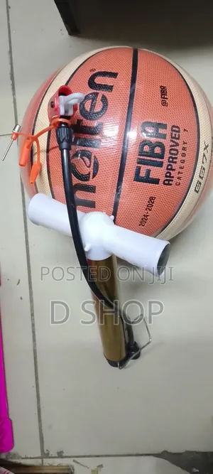Molten Basketball and Free Pump