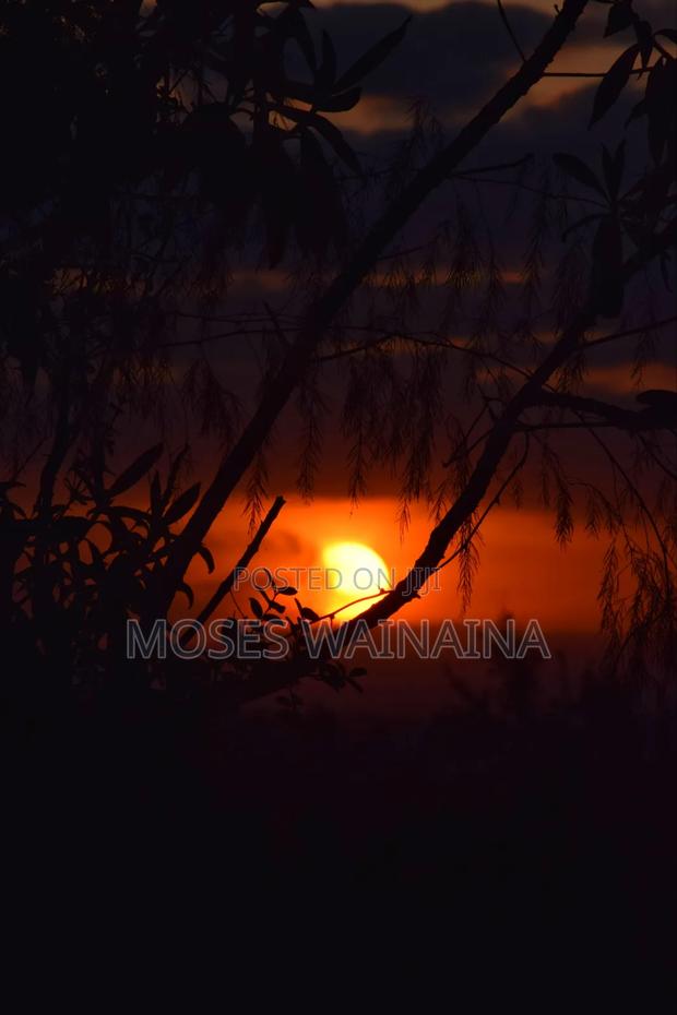 Nikon D3300 - thumbnail 7
