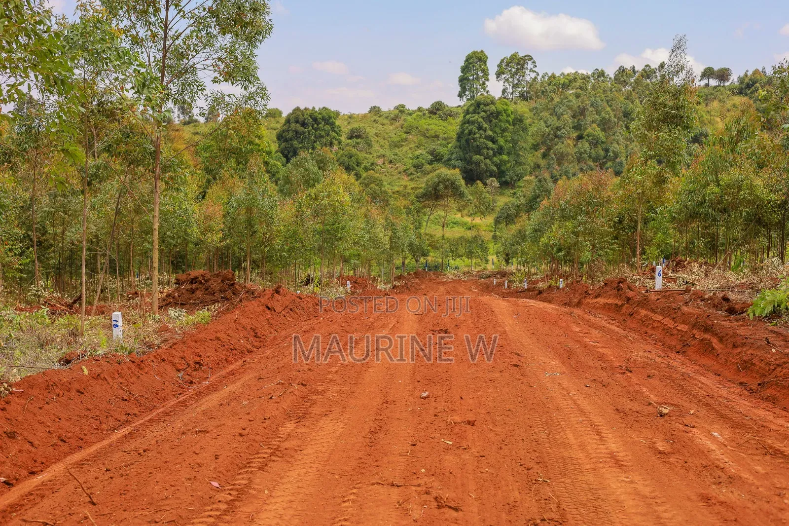 Kamangu-Kikuyu Plots
