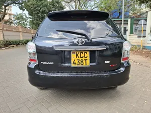 Toyota Corolla Fielder 2009 Black