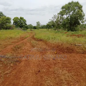 Prime 20-Acre Agricultural Farm for in Kirinyaga Kimbimbi Riagicheru