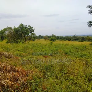 Prime 20-Acre Agricultural Farm for in Kirinyaga Kimbimbi Riagicheru