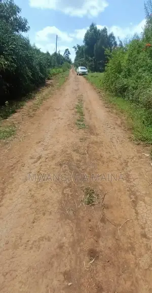 1 Acre and 1/4 Land for Sale-Kikuyu Thigio