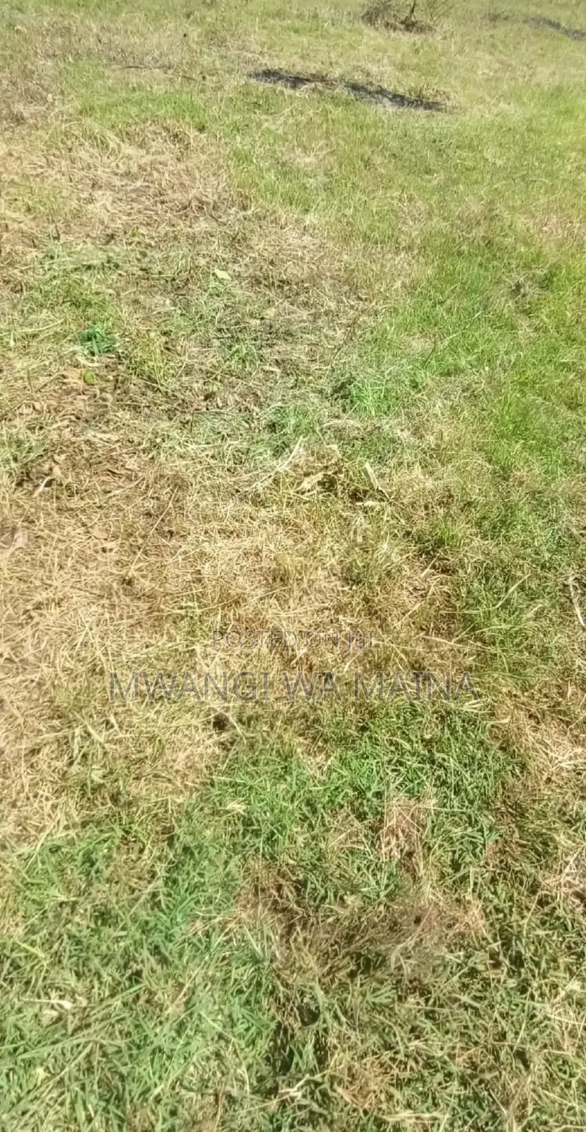 1 Acre and 1/4 Land for Sale-Kikuyu Thigio