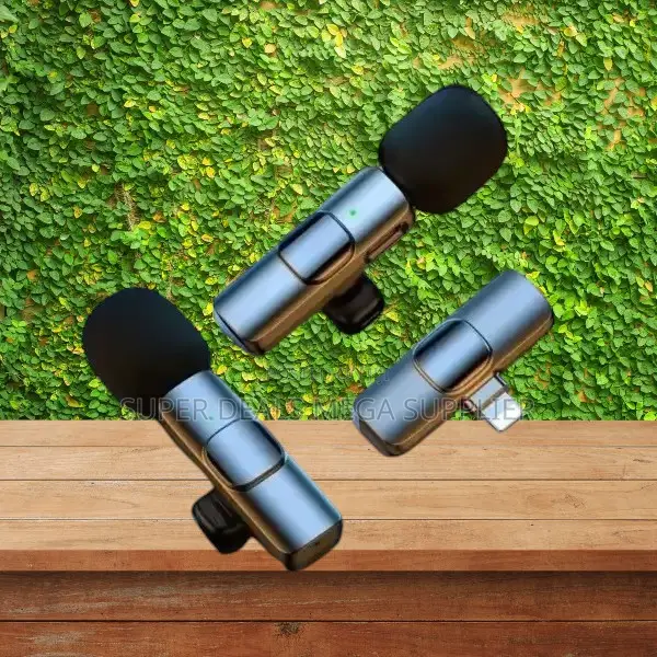 Fast Pairing Mini Lapel Lavalier Dual Wireless Microphone