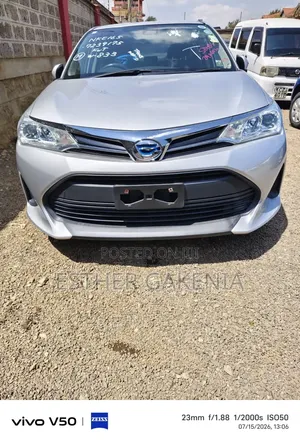 Toyota Corolla Fielder 2020 Silver