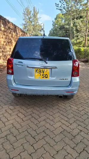 Toyota Raum 2006 Gray