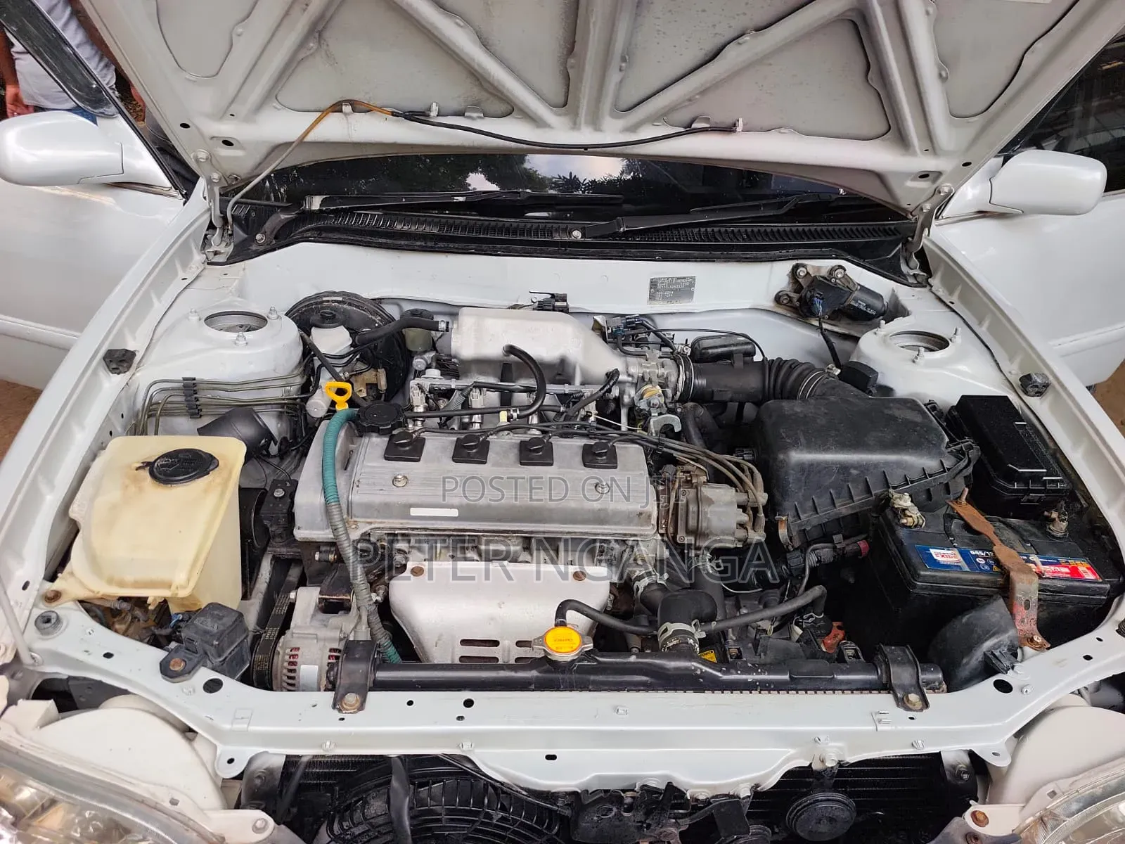 Toyota Corolla 1999 White