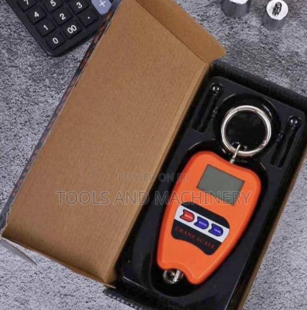 Digital Crane Weighing Scale 200kgs/Digital Crane Weighing Scale 200kg