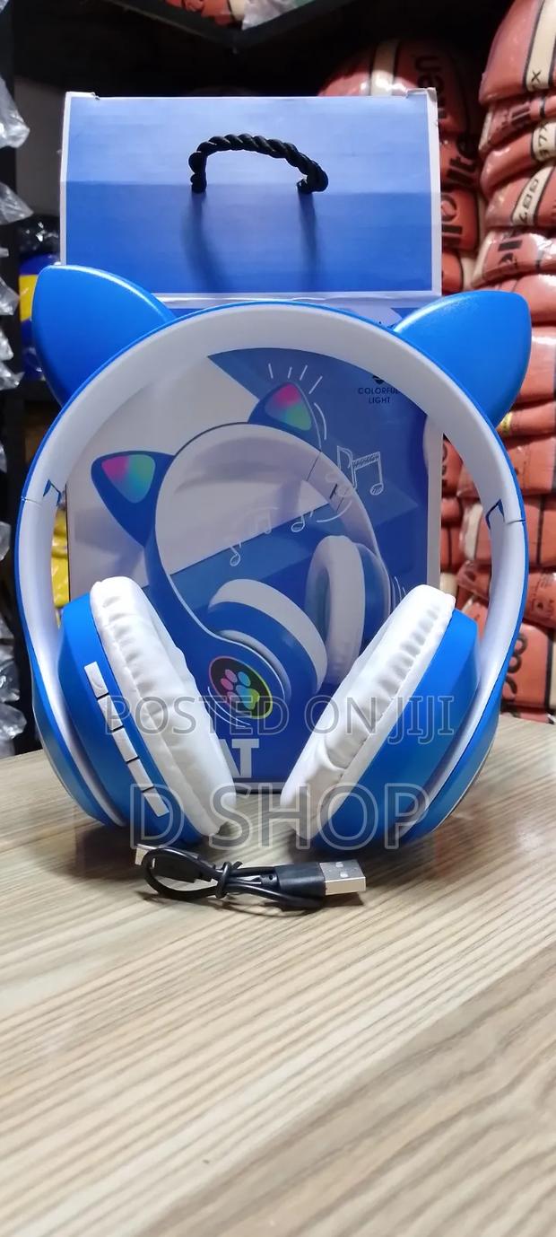 Fancy Kids Cat Ear Headphones