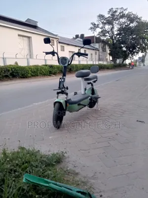 Electric Bike