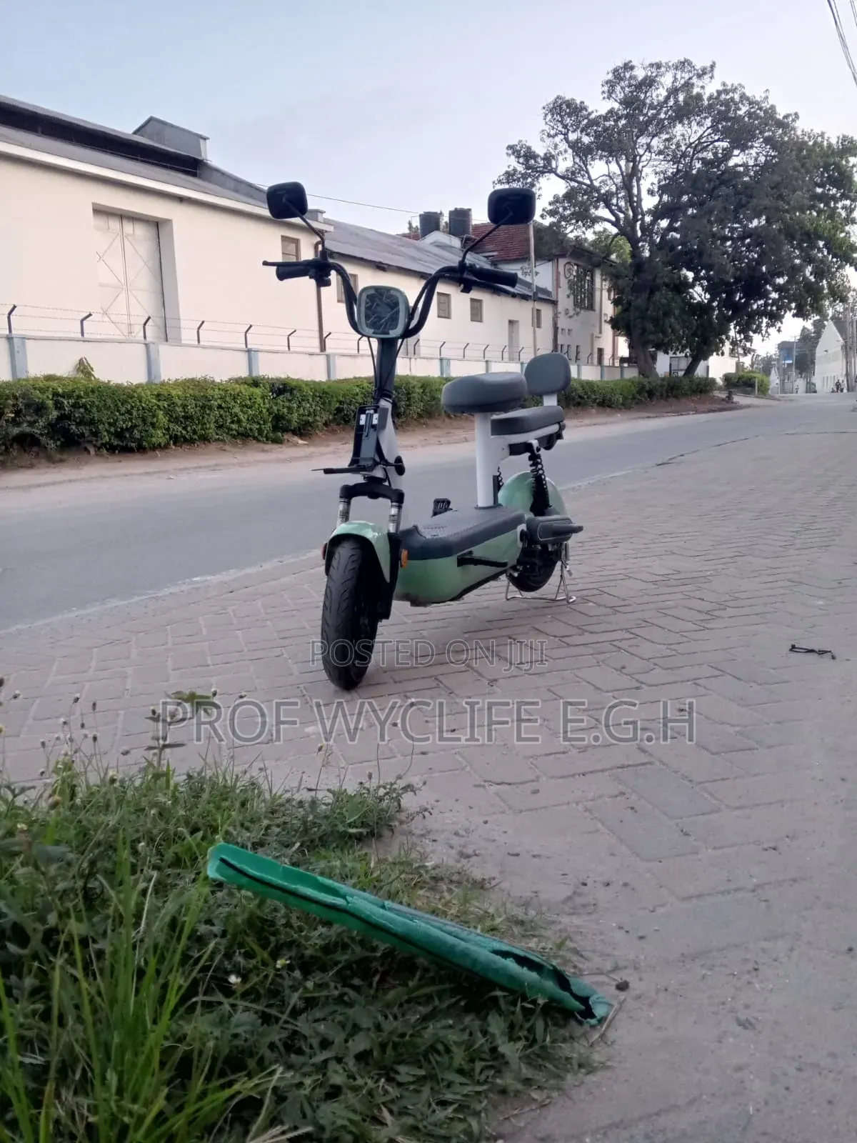 Electric Bike