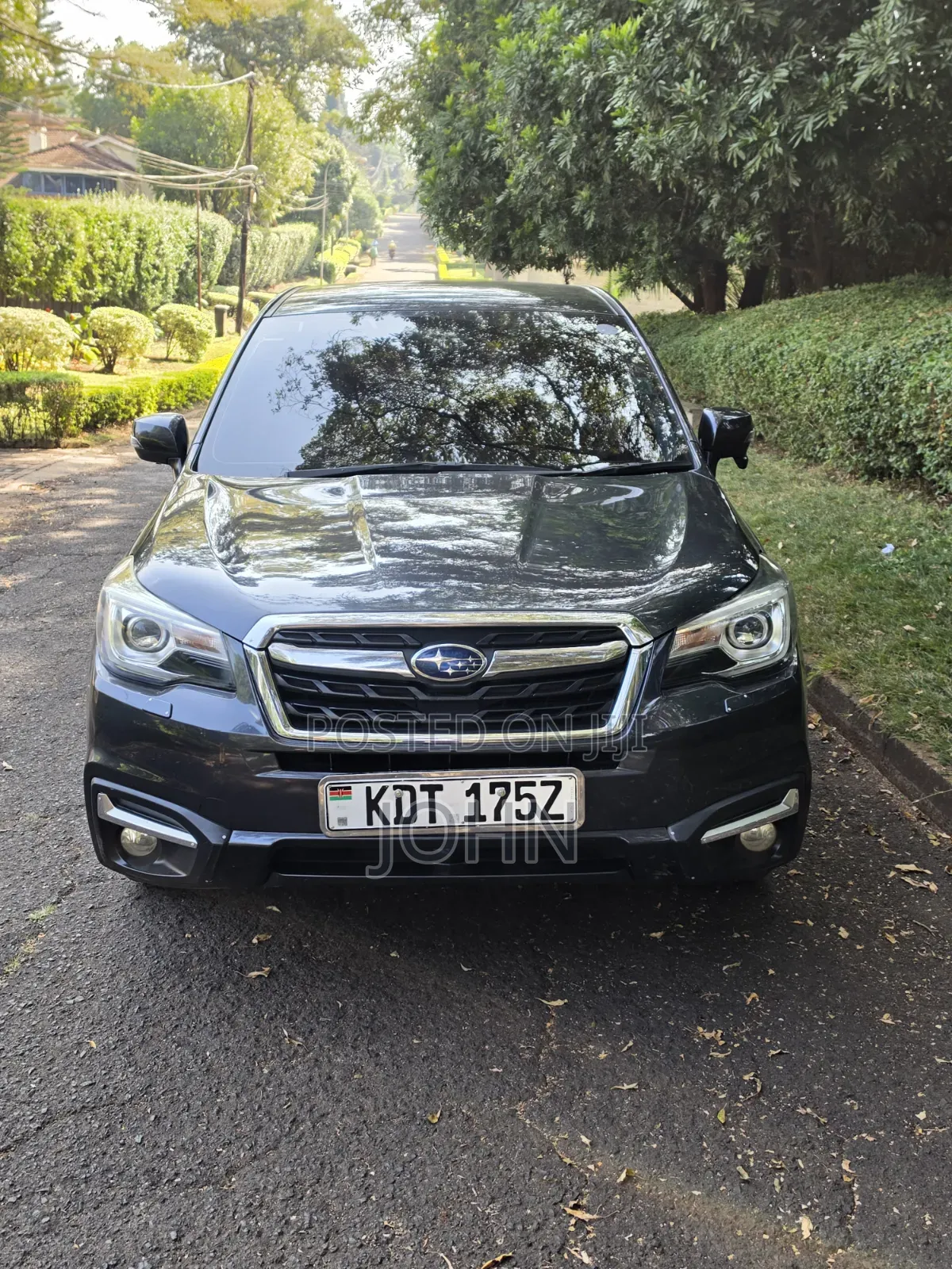 Subaru Forester 2016 Gray