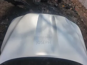 Land Cruiser 300 Series Bonnet