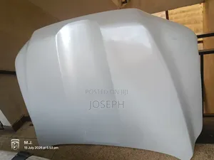 Land Cruiser 300 Series Bonnet