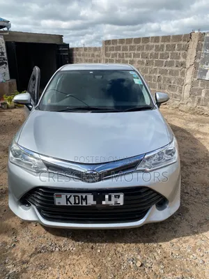 Toyota Axio 2017 Silver