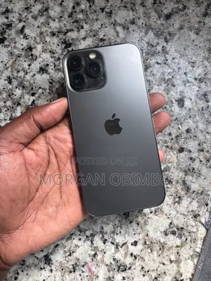 Apple iPhone 13 Pro Max 256 GB Gray