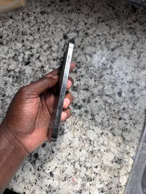 Apple iPhone 13 Pro Max 256 GB Gray
