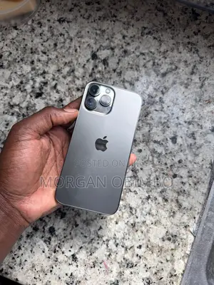 Apple iPhone 13 Pro Max 256 GB Gray