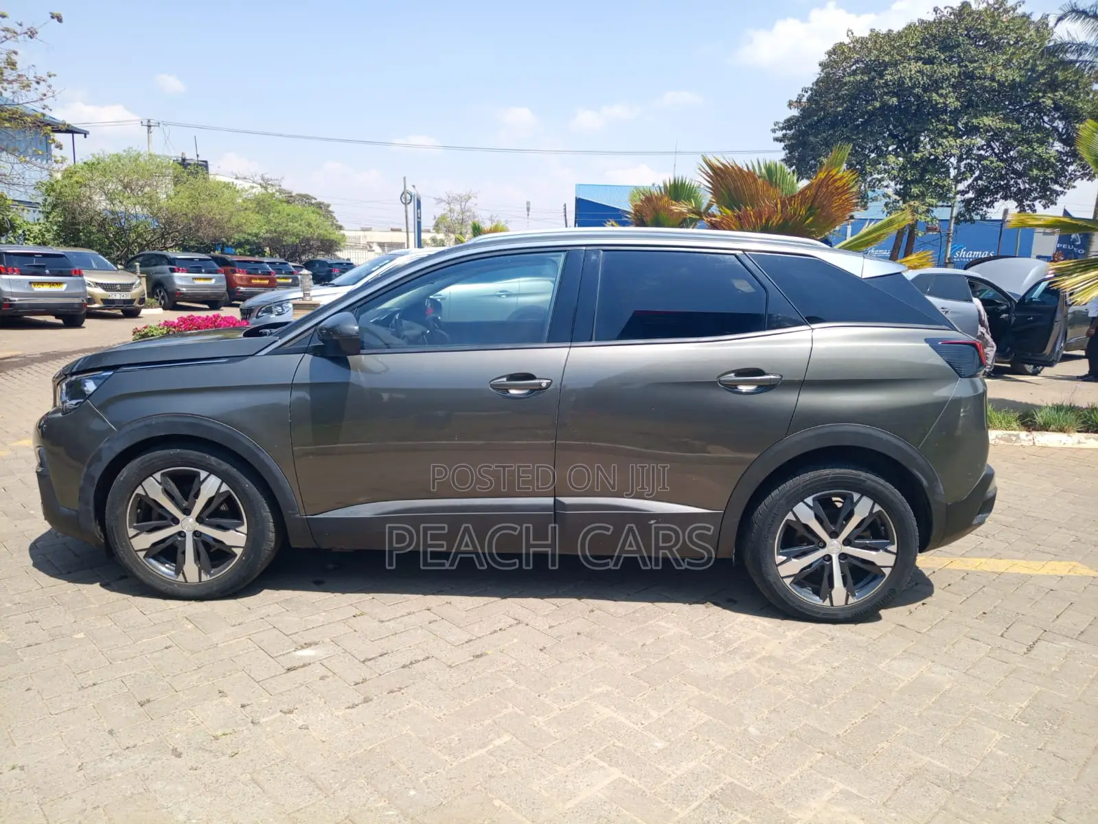 Peugeot 3008 2018 Green