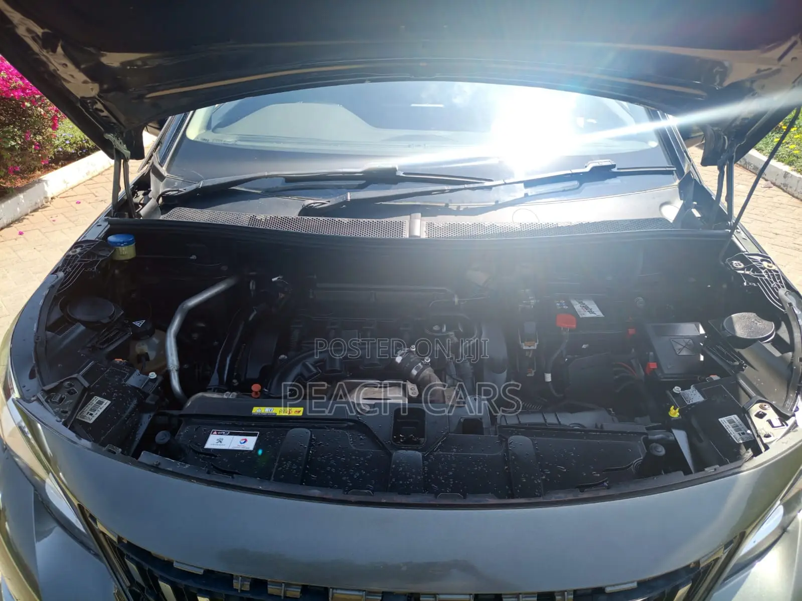 Peugeot 3008 2018 Green