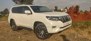 Toyota Land Cruiser Prado 2019 Pearl
