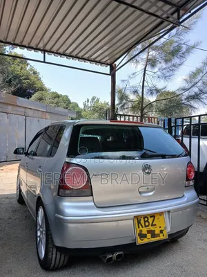 Volkswagen Polo 2007 Silver