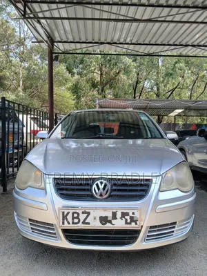 Volkswagen Polo 2007 Silver