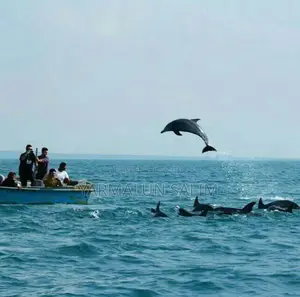 Wasini Al-Badru Ocean Tour
