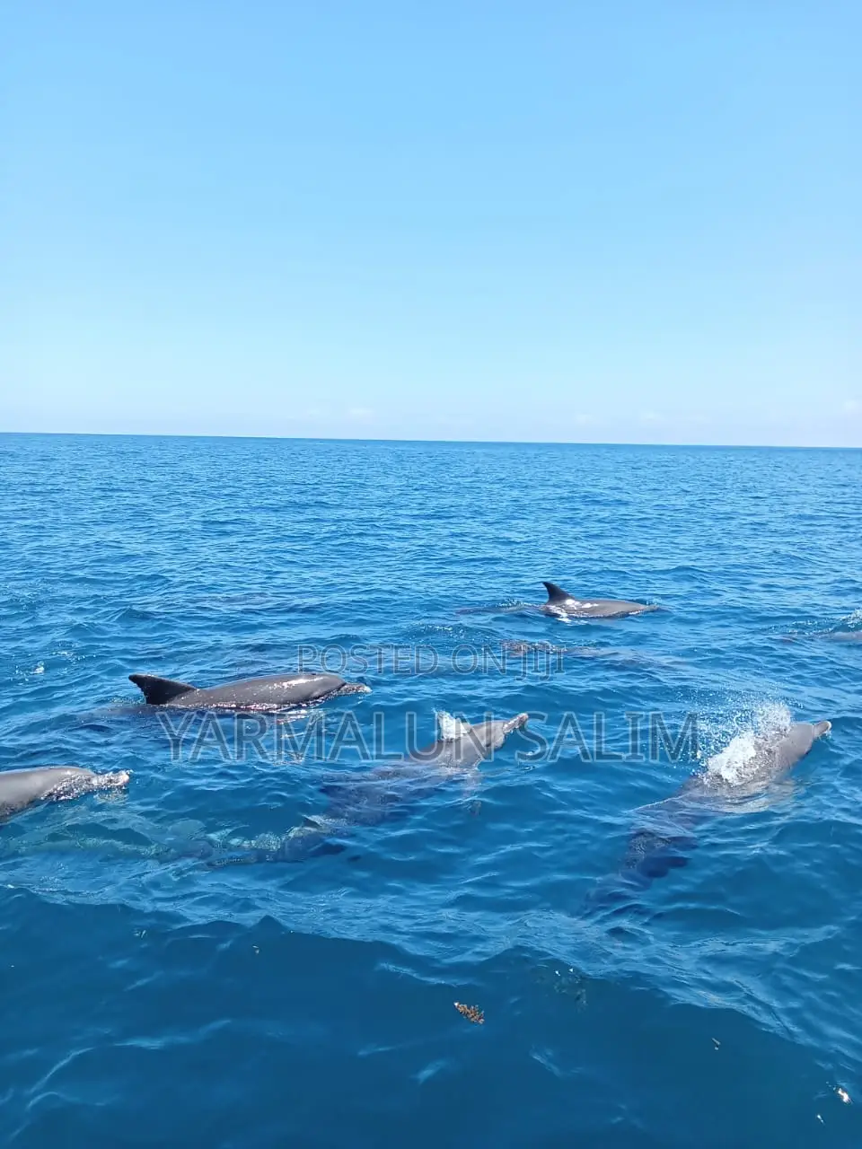 Wasini Al-Badru Ocean Tour